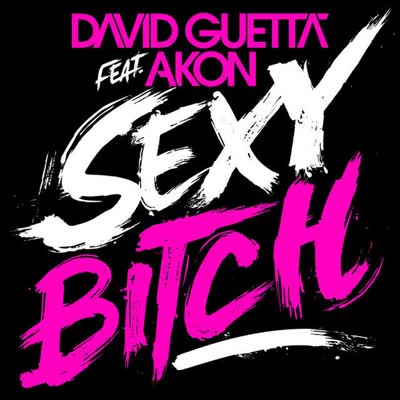 DAVID GUETTA UND AKON - SEXY BITCH