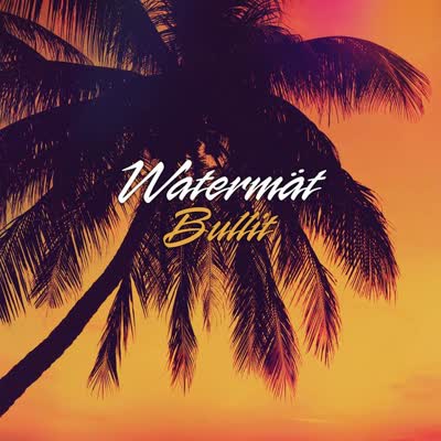 WATERMAET - BULLIT