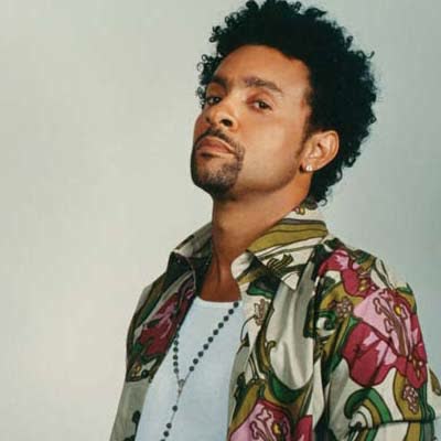SHAGGY - IT WASN'T ME