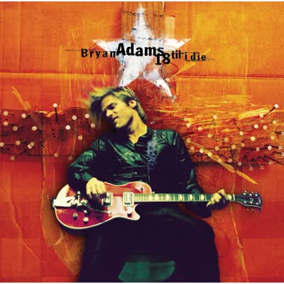 BRYAN ADAMS - HAVE YOU EVER REALLY LOVED A WOMAN?