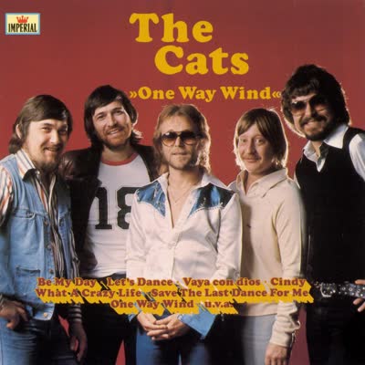 THE CATS - ONE WAY WIND