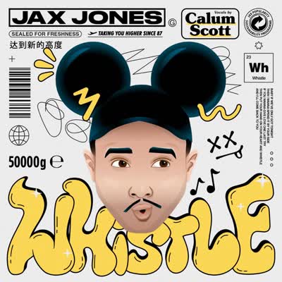 JAX JONES UND CALUM SCOTT - WHISTLE