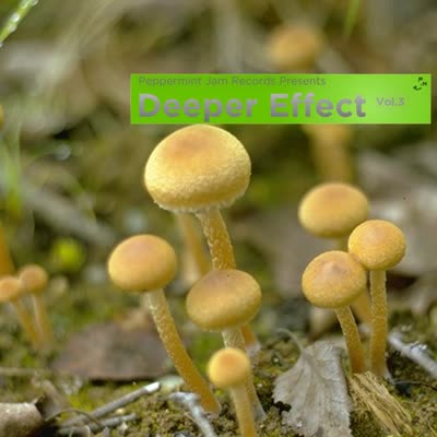 CUNNIE WILLIAMS UND HEAVY D. - A WORLD CELEBRATION