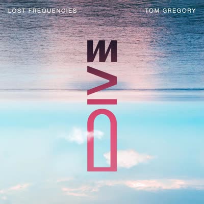 LOST FREQUENCIES UND TOM GREGORY - DIVE