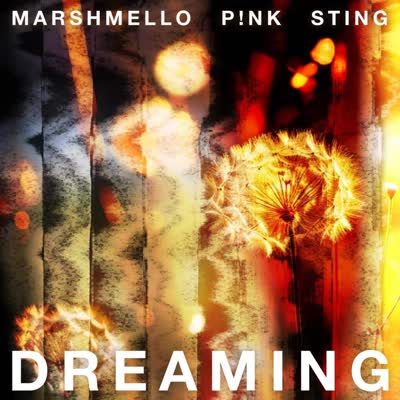 PINK UND STING MIT MARSHMELLO - DREAMING