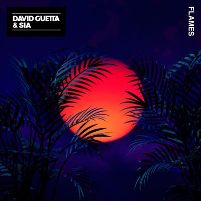 DAVID GUETTA UND SIA - FLAMES
