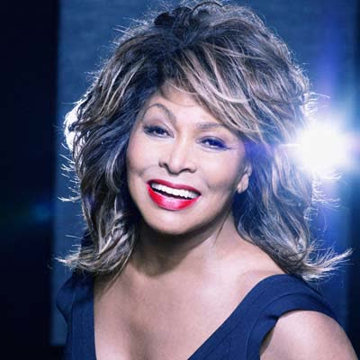 TINA TURNER - THE BEST