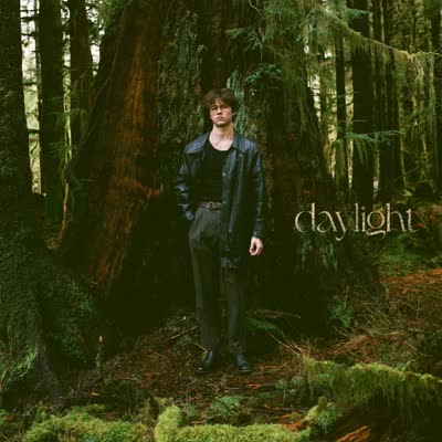 DAVID KUSHNER - DAYLIGHT