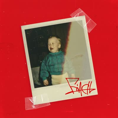 FINCH - WENN DU DUMM BIST