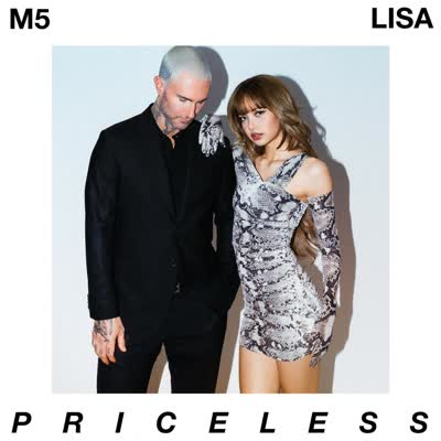MAROON 5 UND LISA - PRICELESS