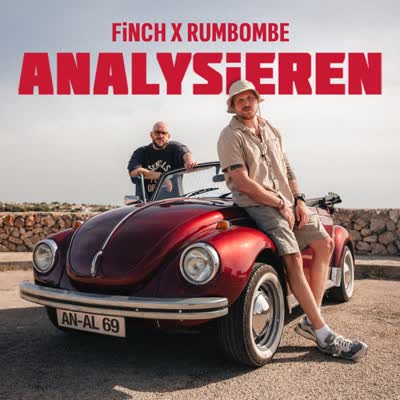 FINCH UND RUMBOMBE - ANALYSIEREN
