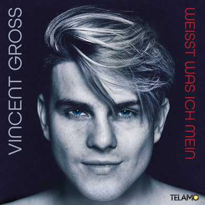 VINCENT GROSS - WEISST WAS ICH MEIN