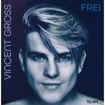 VINCENT GROSS - DU TRÄUMST NUR