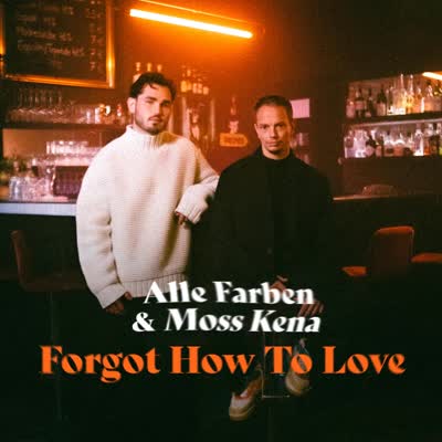 ALLE FARBEN - FORGOT HOW TO LOVE