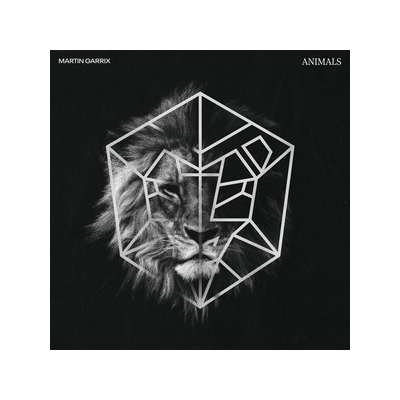 MARTIN GARRIX - ANIMALS