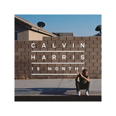 CALVIN HARRIS UND ELLIE GOULDING - I NEED YOUR LOVE