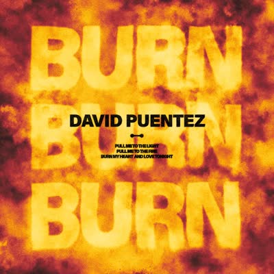DAVID PUENTEZ UND ROE BYRNE - BURN