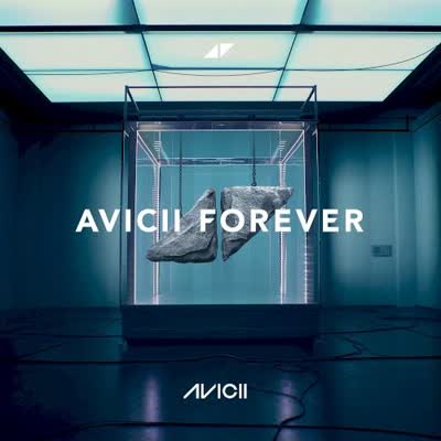 AVICII - THE NIGHTS