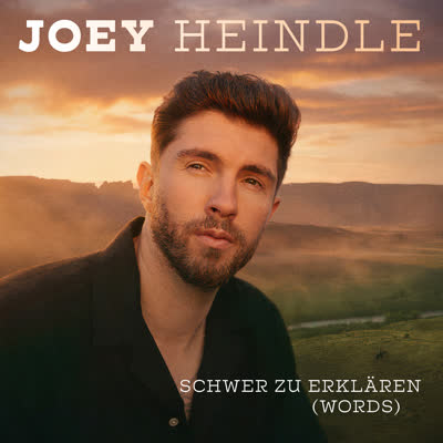 JOEY HEINDLE - SCHWER ZU ERKLÄREN (WORDS)