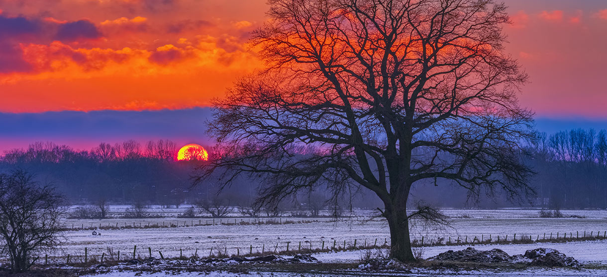 Roter Sonnenuntergang über einem Feld mit Schnee und Baum